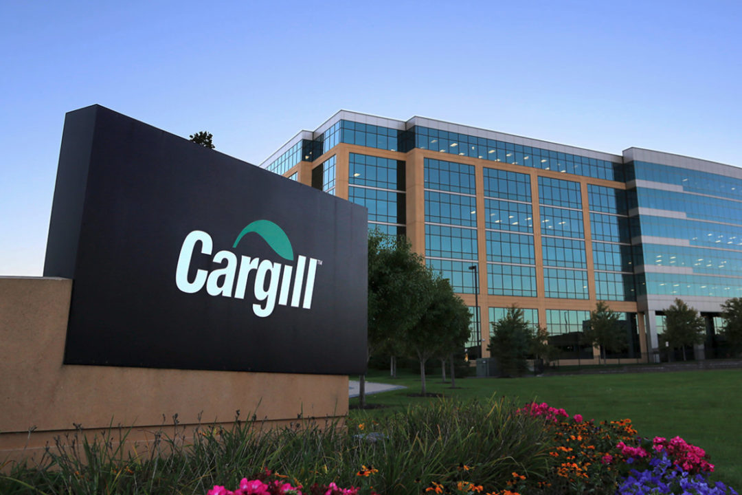 Breaking Cargill CEO Announcements Major Action on Forests